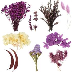 img 2 attached to 🌿 Poualss Real Dried Leaf Flowers Kit: Craft Scrapbooking and Jewelry Making with Purple Herbarium for Home Decoration