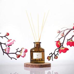 img 4 attached to 🌸 Soothing Smokey Sakura Reed Diffuser Set: Aromatherapy Sticks for Calming & Restoring Home Fragrance