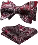 burgundy paisley floral jacquard men's 👔 accessories: ties, cummerbunds & pocket squares by hisdern logo