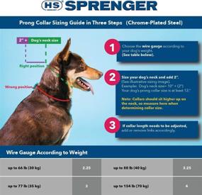 img 3 attached to 🦴 Herm Sprenger Ultra-Plus Prong Training Collar for Dogs