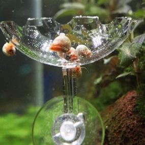 img 1 attached to POPETPOP Dish Shrimp Aquarium Transparent Container