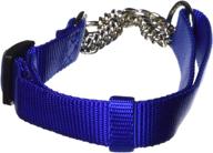 🐶 blue hamilton adjustable combo choke dog collar - medium size, 3/4" width, 18-26" length logo