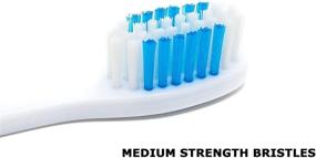 img 2 attached to Складная зубная щётка с встроенным чехлом - комплект из 2 штук, идеально подходит для пеших прогулок, кемпинга и чрезвычайных ситуаций