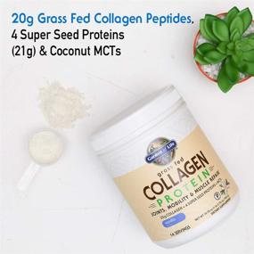 img 2 attached to 🌱 Garden of Life Vanilla Grass-Fed Collagen Protein Powder - 14 Servings, Joint Mobility & Muscle Repair Formula, Collagen Peptides, Enhanced with Super Seeds, Coconut MCTs, Hydrolyzed Collagen Supplement