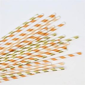 img 1 attached to Just Artifacts Premium Biodegradable Disposable Drinking Paper Straws - 100pcs in Autumn Vibes