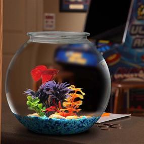 img 3 attached to Koller Products 🐠 BL20RPET 2-Gallon Fish Bowl