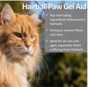 img 3 attached to 🐾 Effective Hairball Paw Gel Aid for Cats: Discover Vet Worthy's Solution