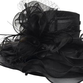 img 1 attached to 🌹 Rose Organza Kentucky Fascinator Wedding Women's Accessories S037 - Enhancing SEO