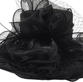 img 2 attached to 🌹 Rose Organza Kentucky Fascinator Wedding Women's Accessories S037 - Enhancing SEO
