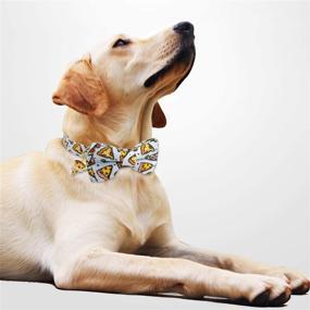 img 2 attached to 🐶 KUDES 2 Pack Dog Collars with Bow Tie, Adjustable Dog Collar with Bells | Safety Buckle | Cute Pet Collars for Small, Medium, and Large Dogs | Boys & Girls