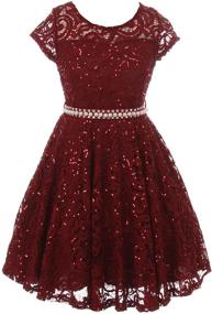 img 4 attached to 👗 Burgundy Glitter Holiday Girls' Dress: BNY Corner Clothing Collection