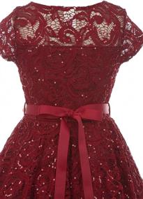 img 1 attached to 👗 Burgundy Glitter Holiday Girls' Dress: BNY Corner Clothing Collection