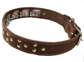 img 1 attached to 🐶 21.5" x 1.5" Wide Genuine Leather Studded Dog Collar – Fits 13"-17" Neck – Brown – Ideal for Training and Control