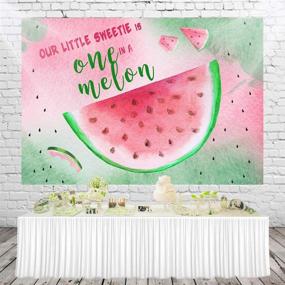 img 3 attached to 🍉 HUAYI 5x3ft Watermelon Birthday Party Backdrop - Watercolor Pink and Mint Green Melon Bash - Happy 1st Birthday Photocall Background - Watermelon Theme Party Decorations - Banner Photo Booth Prop W-2054