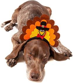 img 2 attached to 🦃 Adorable Midlee Turkey Dog Headband for Festive Pooches