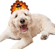 🦃 adorable midlee turkey dog headband for festive pooches логотип