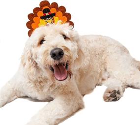 img 4 attached to 🦃 Adorable Midlee Turkey Dog Headband for Festive Pooches