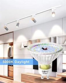 img 1 attached to SHINESTAR GU10 Glass Bulbs - 5000K