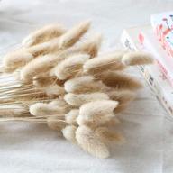 beau jour natural dried lagurus ovatus 100 pcs: flower arrangement & home decor bunny tails pampas logo