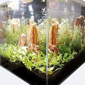 img 2 attached to 🐠 LIFEGARD Low Iron Ultra Clear Crystal Aquarium Tank – Premium Rimless Glass, Beveled Edge, Rectangular Style – High Flow Rate of 9.63 GPH