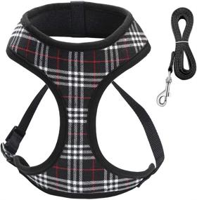 img 4 attached to 🐾 Comfortable Dog Harness for Small Dogs with Easy Adjustment and Secure Fit | Super Soft, Lightweight Vest with Padded Mesh for Breathability | Ideal Shoulder and Chest Harness