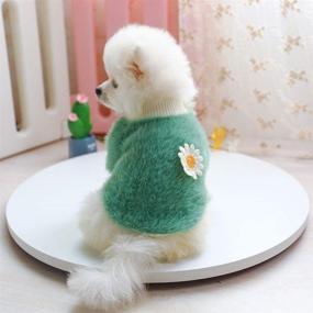 img 3 attached to 🌼 Daisy Style Plush Round Neck Flowers Sweater - LOYY Dog Sweaters for Small Dogs. Autumn Winter Warm Puppy Girl Fleece Sweater for Small to Medium Dogs