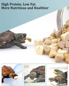 img 1 attached to Premium Freeze Dried Turtle Treats - Natural Chicken, Duck, and Fish Meat Blend - Human-Grade 3-in-1 Turtle Food