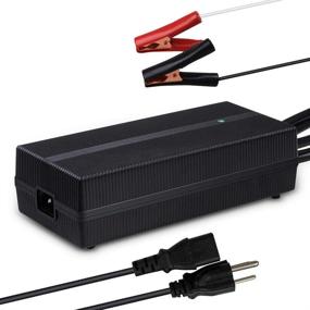 img 4 attached to Renogy 12V 20A AC-to-DC Portable Battery Charger with Alligator Clips for Lithium-iron Phosphate Batteries: Efficient Charging Solution