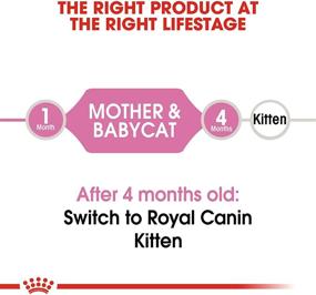 img 1 attached to Nutrient-Rich Royal Canin Mother & Babycat Dry Cat Food: Ideal for Newborn Kittens, Pregnant, and Nursing Cats