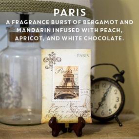 img 3 attached to Paris Scented Sachets by WILLOWBROOK Fresh Scents