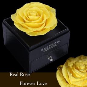 img 3 attached to SWEETIME Real Preserved Rose Gift Box: Never Withered Rose for Girlfriend and Wife