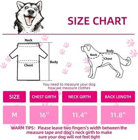 img 3 attached to Printed T Shirt Breathable T Shirts Sweatshirt Dogs