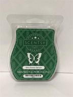 🌲 invigorating fragrance: scentsy bar's very snowy spruce логотип