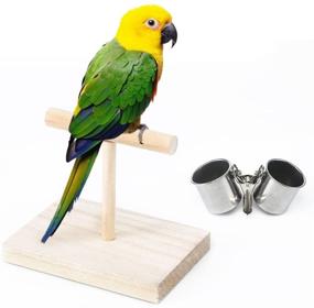 img 4 attached to 🐦 COUNER Bird Parrot Perch Stand: Natural Wild Grape Stick Platform with Feeder & Toys - Ideal for Cockatiels, Budgies, Conures, Parakeets, Finches, & Lovebirds