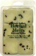 🕊️ swan creek harvest spice drizzle melts - triple scented wax cubes and warmer логотип