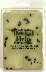 img 1 attached to 🕊️ Swan Creek Harvest Spice Drizzle Melts - Triple Scented Wax Cubes and Warmer