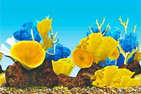 img 2 attached to Marine Background Seabed Aquarium 15（Inch）