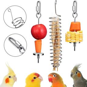 img 4 attached to Premium Stainless Steel Bird Food Holder & Foraging Toy - 3-Piece Set with Fruit Forks and Food Basket: Ideal Feeder for Parrots