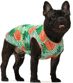 img 3 attached to 🍍 Fitwarm Breathable Mesh Dog Shirts: Tropical Pineapple Hawaiian, Funny Beer Doggie T-Shirts, Puppy Tee Top, Aloha Vest - Pet Clothes for a Stylish and Fun Look!