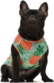 img 2 attached to 🍍 Fitwarm Breathable Mesh Dog Shirts: Tropical Pineapple Hawaiian, Funny Beer Doggie T-Shirts, Puppy Tee Top, Aloha Vest - Pet Clothes for a Stylish and Fun Look!