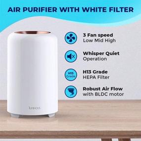 img 3 attached to 🌫️ Luminous Air Purifier and Humidifier Combo: The Perfect Air Purifier Humidifier Combination