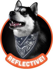 img 2 attached to 🐶 Genuine Fred Howligans Dog Bandana: Small, Navy - Versatile and Stylish Accessory for Your Precious Pooch