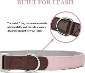 img 2 attached to Linkfun Collar Adjustable Classic Collars