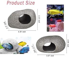 img 3 attached to 🐠 Enhance Your Aquarium with Rock Cave Hideaways: 2PCS Betta & Shrimp Hideout Tunnels for Territorial Fish, Cichlid Spawning & Breeding