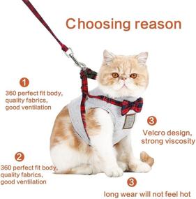 img 1 attached to 🐾 Adjustable Soft Vest Harness for Cats and Kittens with Leash - Ezeso Cat Harness and Leash Set for Safe Walking/Running