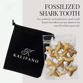 img 2 attached to 🦈 Explore KALIFANO Authentic Fossilized Prehistoric Mini Wire Wrapped Shark Teeth: 9-Pack from Morocco - Ideal for Fossil Collections, Jewelry Making, and Bulk Orders (Includes Information Card)