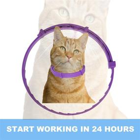 img 3 attached to 🐱 Pets4Luv Calming Collar for Cats - Pheromone Calm Collars for Anxiety Relief - Suitable for Small, Medium, and Large Cats - Upgraded Version - Adjustable, Waterproof, and 100% Natural - 2 Pack