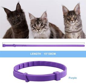 img 1 attached to 🐱 Pets4Luv Calming Collar for Cats - Pheromone Calm Collars for Anxiety Relief - Suitable for Small, Medium, and Large Cats - Upgraded Version - Adjustable, Waterproof, and 100% Natural - 2 Pack