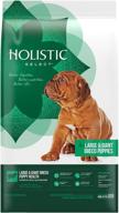 🐶 holistic select natural dry dog food: large & giant breed puppy recipe in a 30-pound bag - quality nutrition for growing pups logo