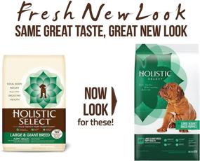 img 1 attached to 🐶 Holistic Select Natural Dry Dog Food: Large & Giant Breed Puppy Recipe in a 30-Pound Bag - Quality Nutrition for Growing Pups